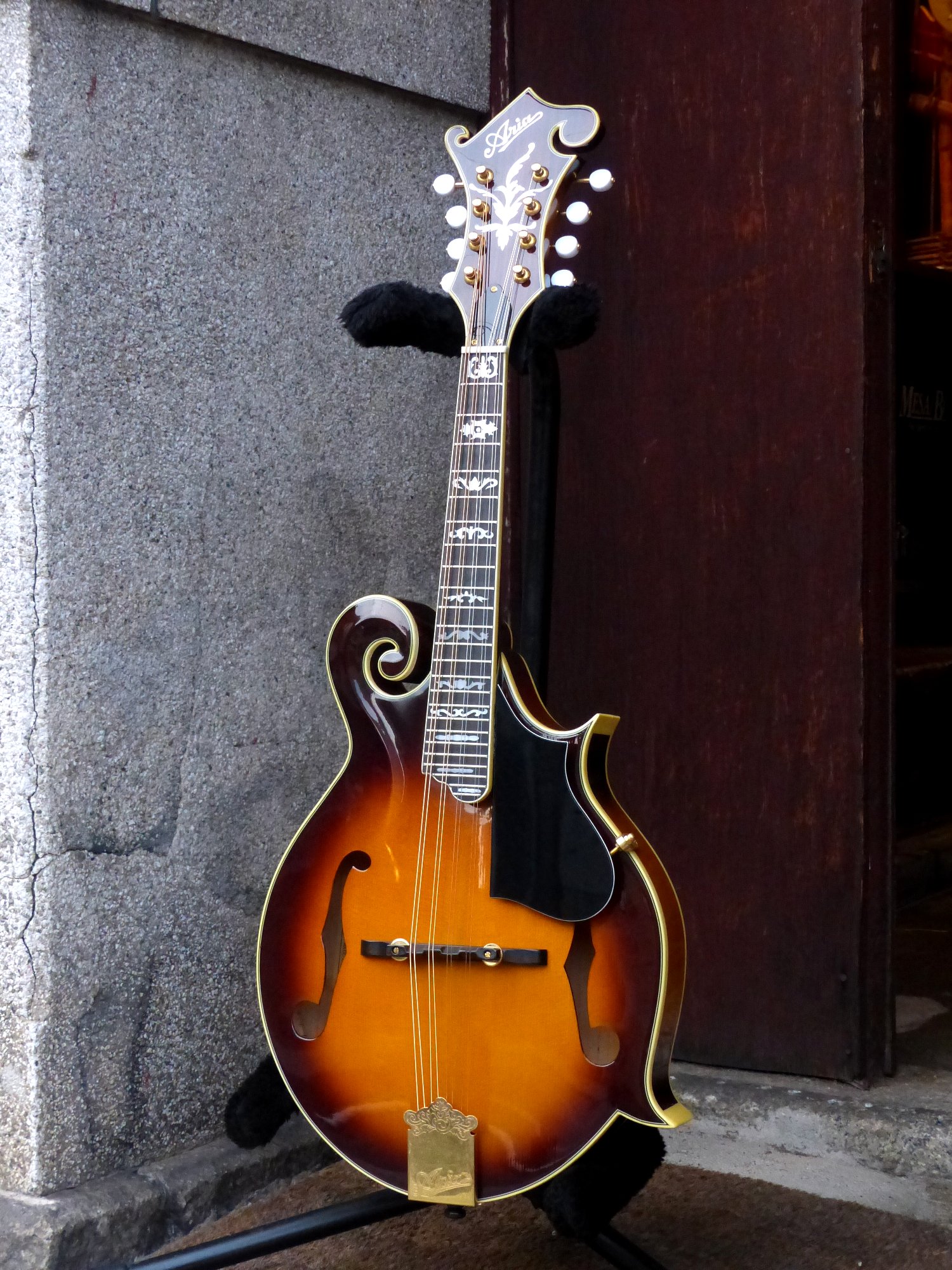 Aria '92 Flat Mandolin AM-600 – 京町家のギターショップ ライトニン