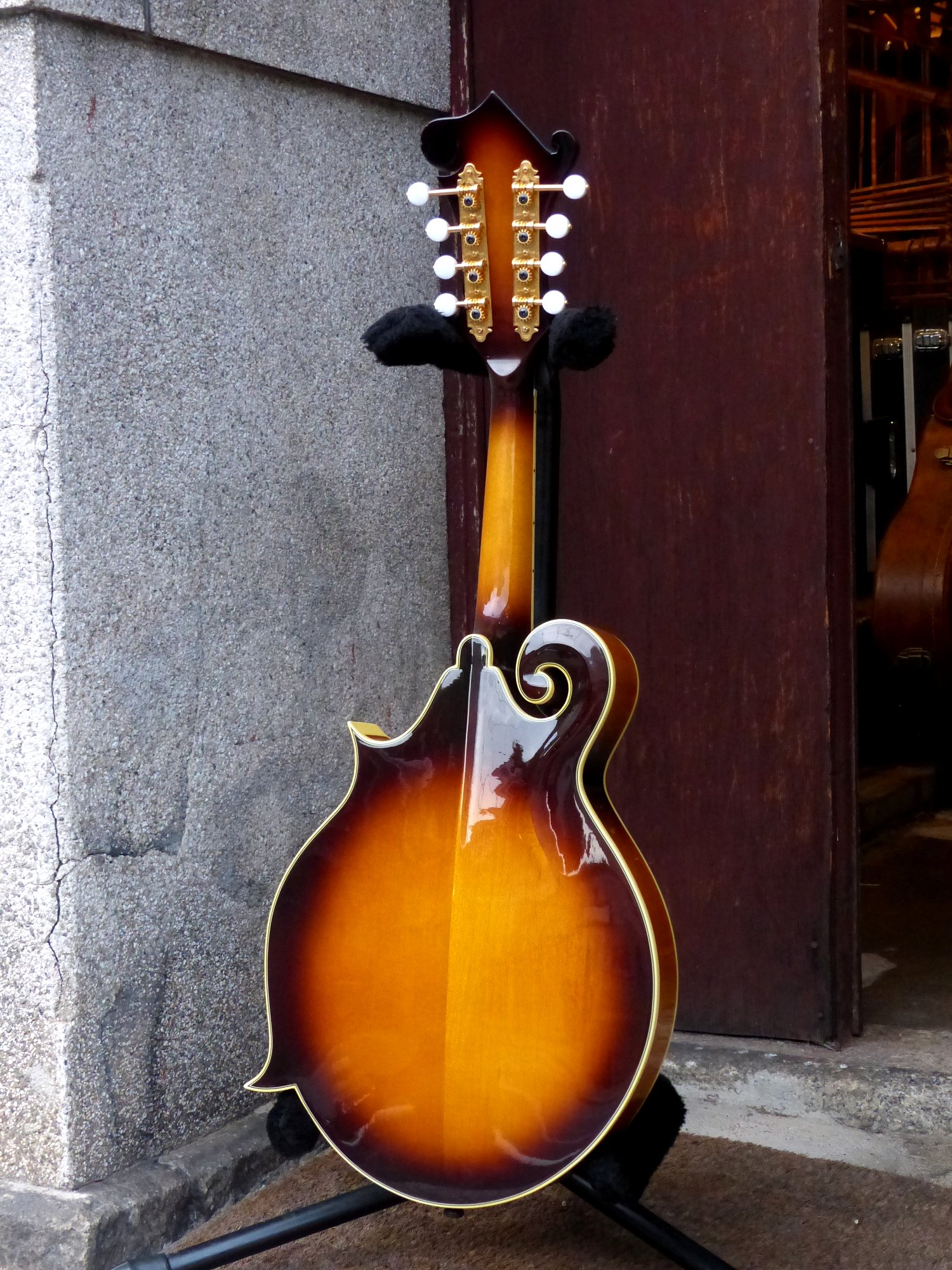 Aria '92 Flat Mandolin AM-600 – 京町家のギターショップ ライトニン