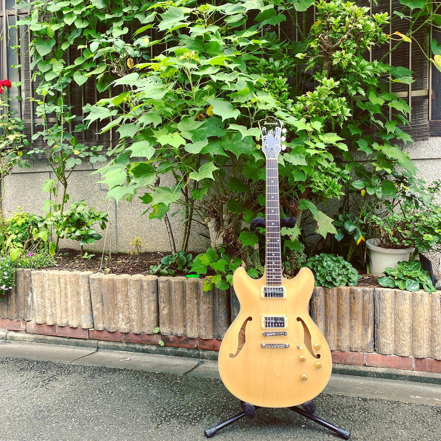 Ibanez ’10 AS73D-NT