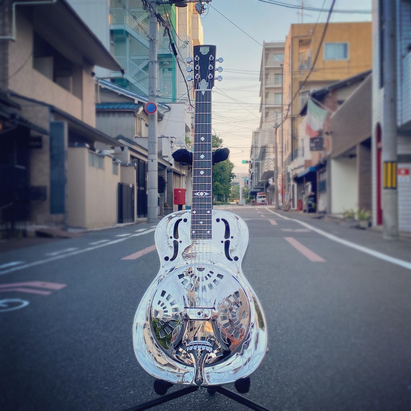 Dobro ’90 Model 75 “Lily of the Valley”