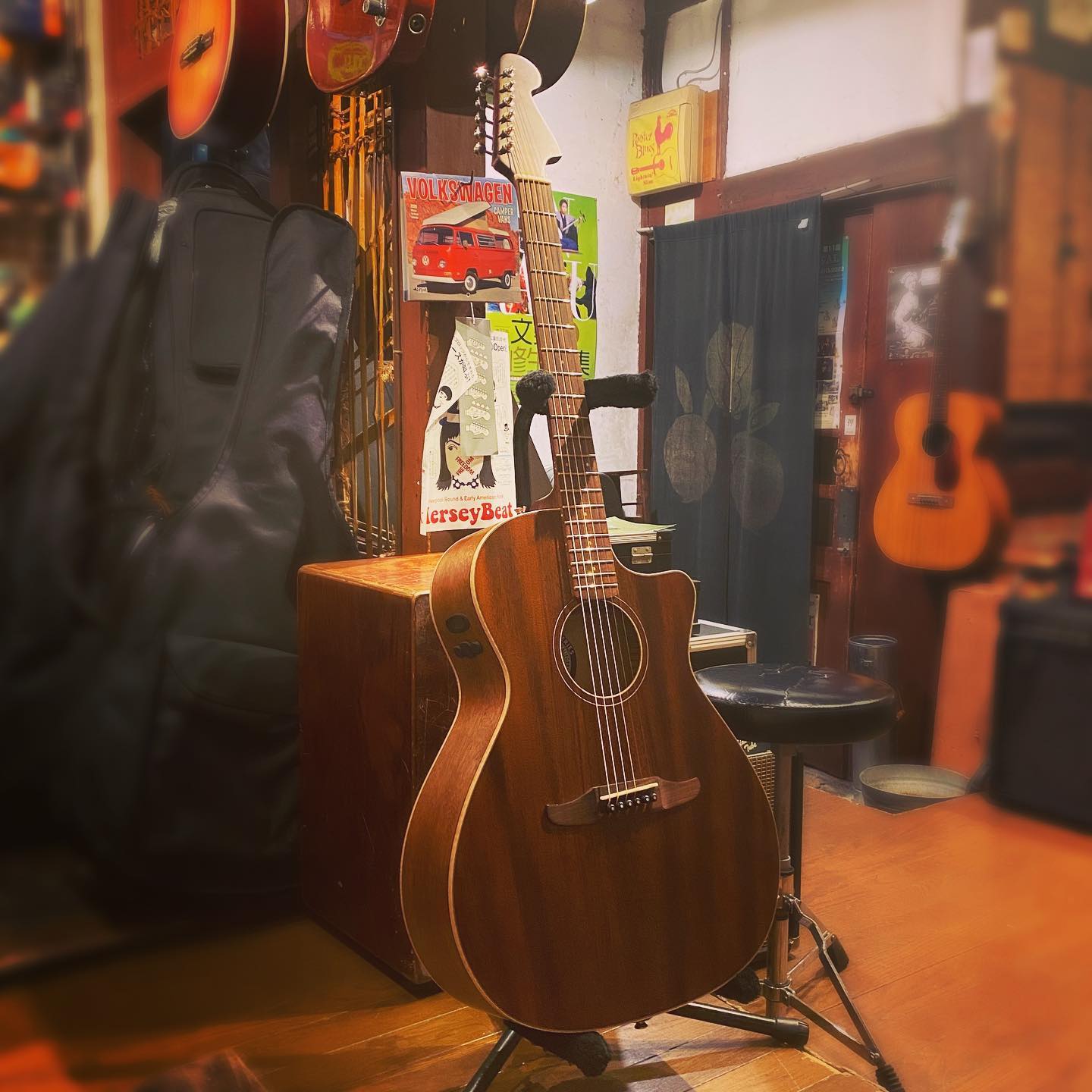 Fender ’21 Newporter Special MAH