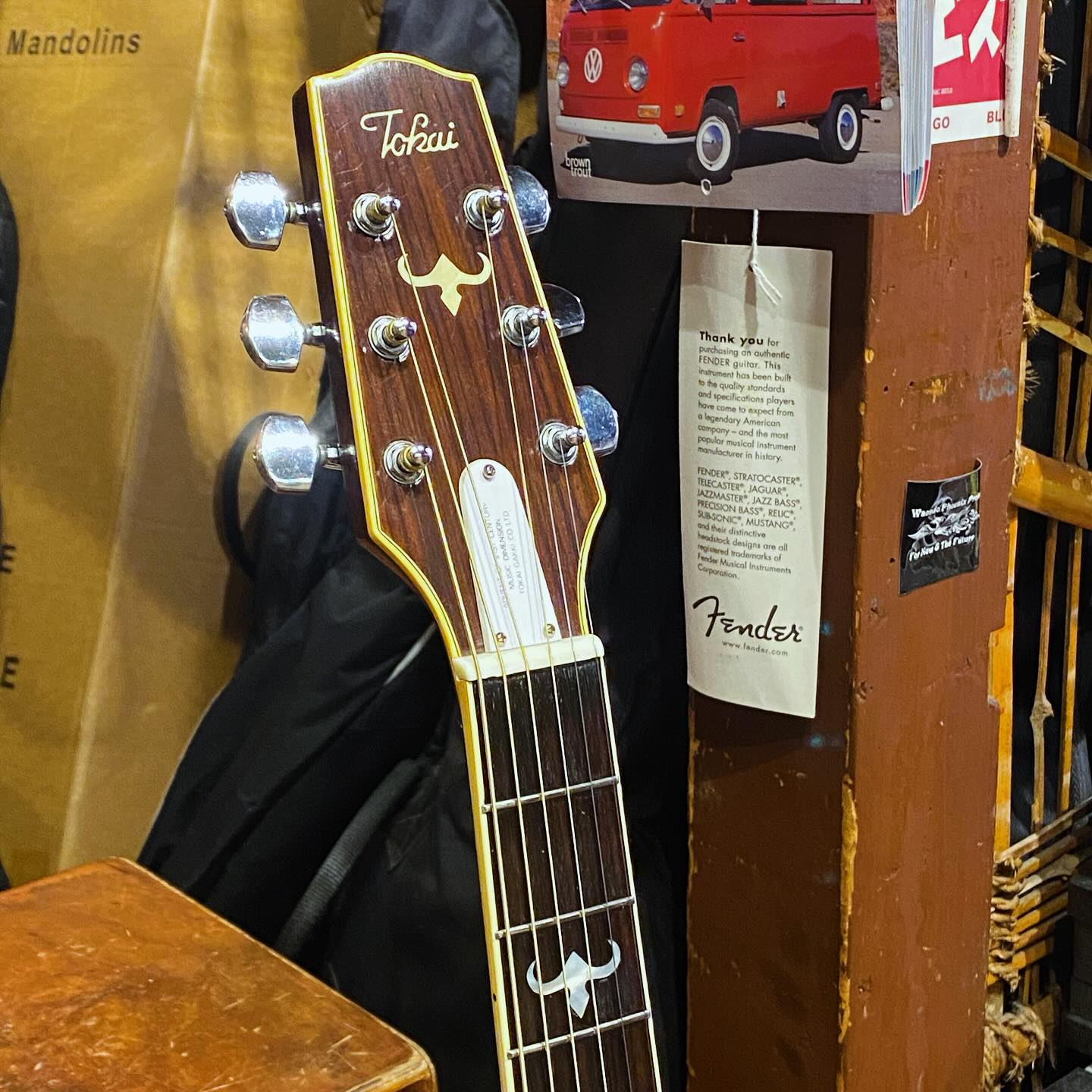 Tokai ’80s TEA-80D