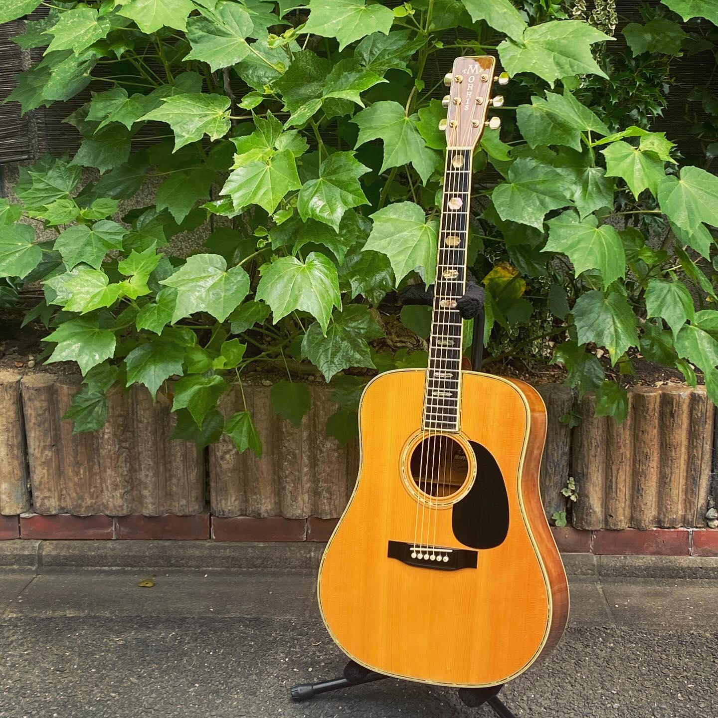Morris ’70s W-100 TF Series
