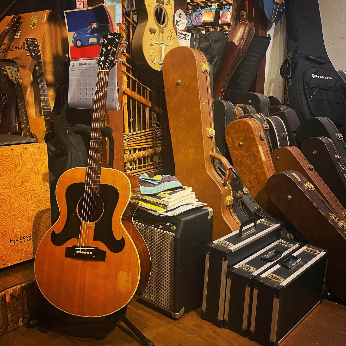 Morris ’70s WJ-25