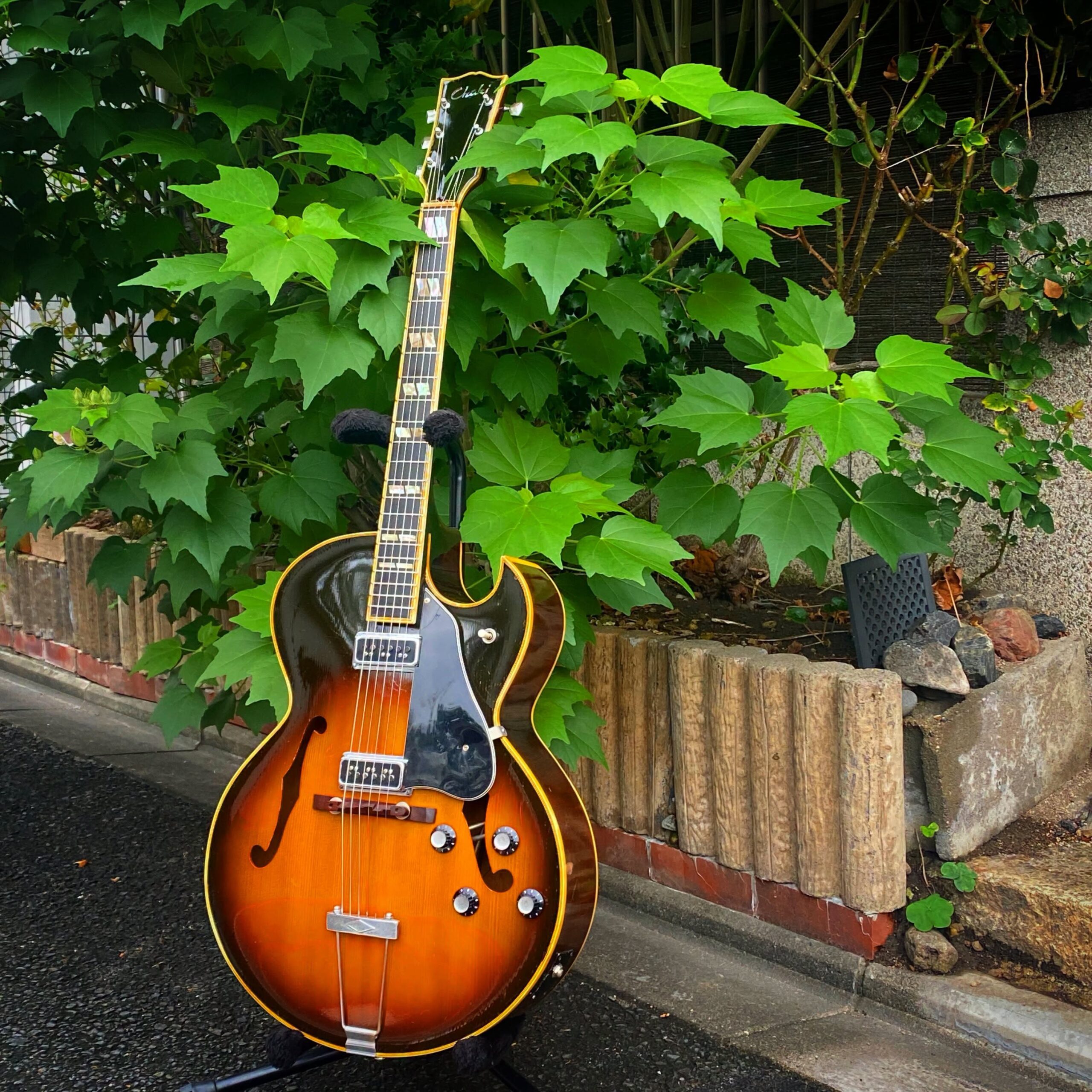 Chaki ’69 P-5M