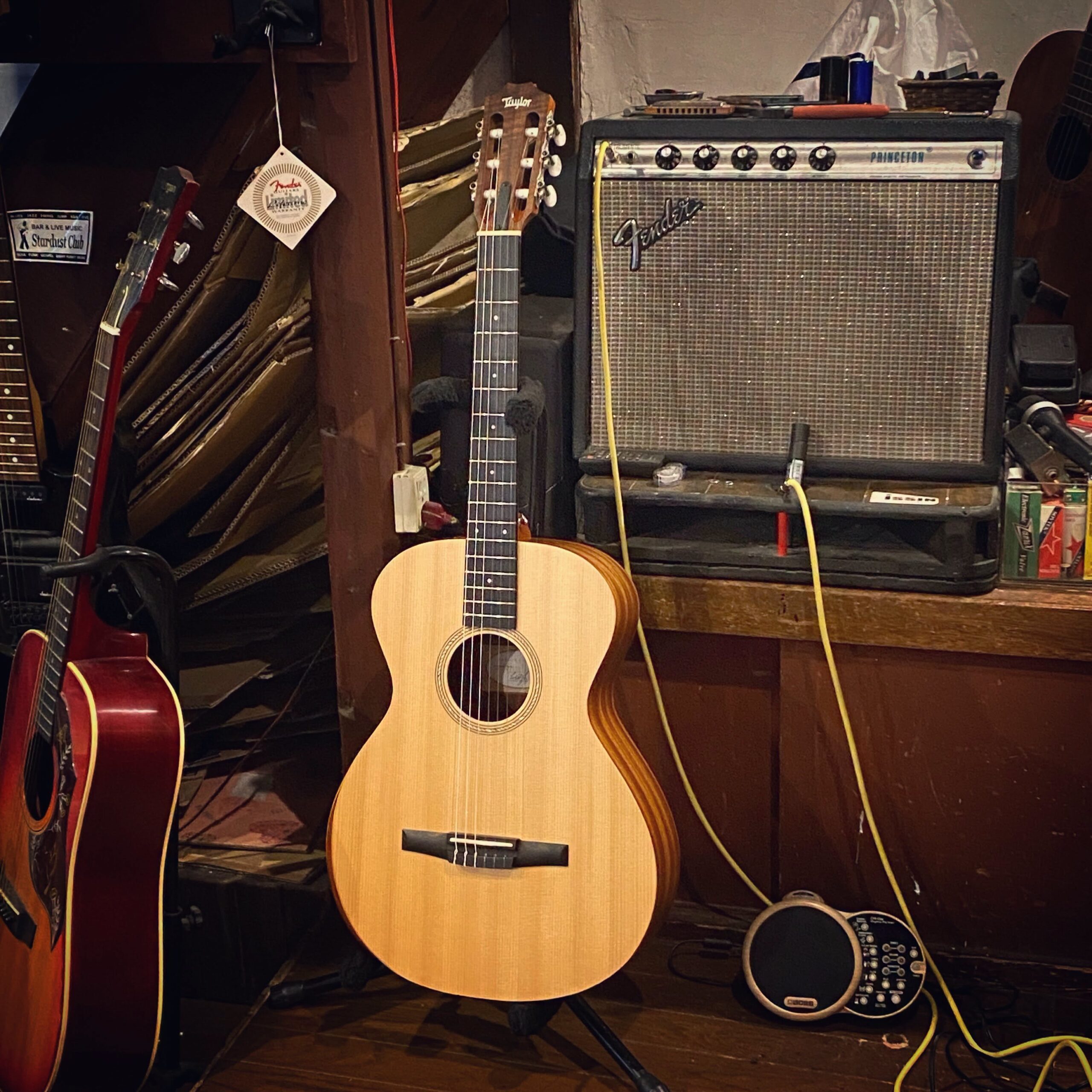 Taylor ’22 Academy 12e-Nylon